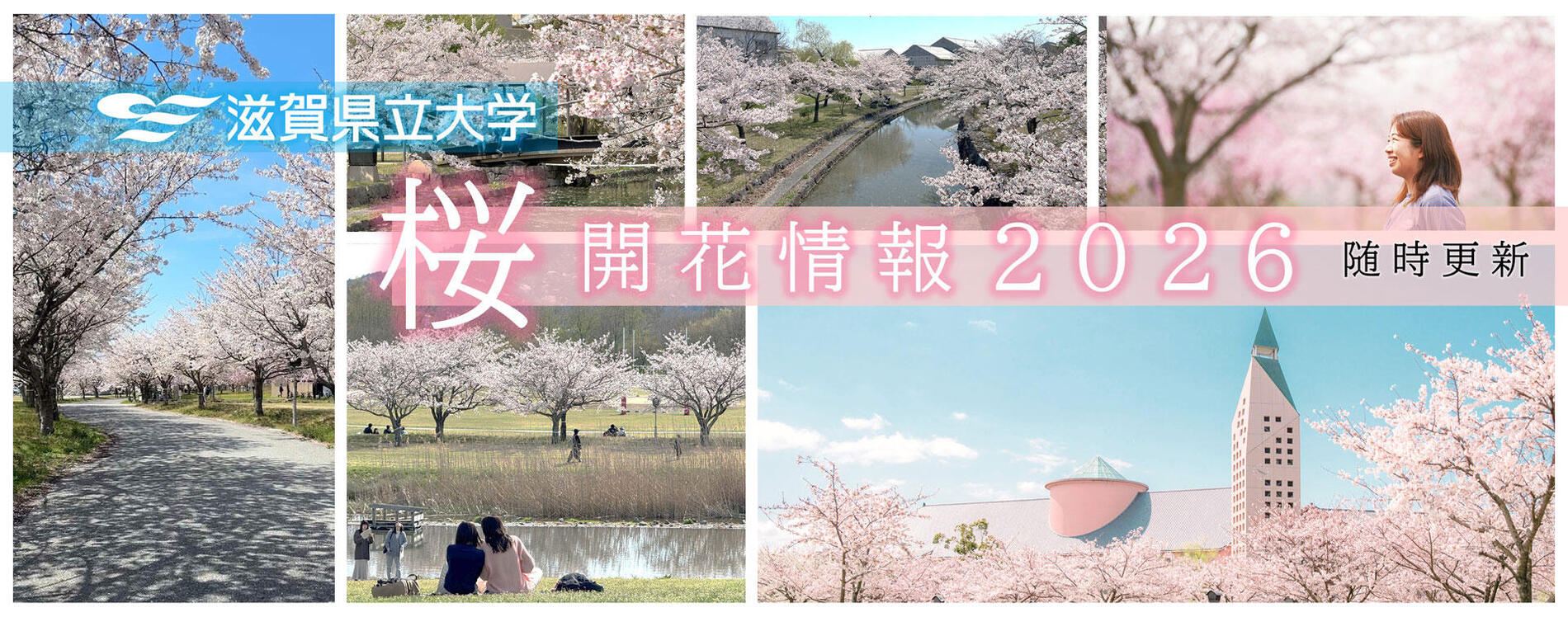 サクラ開花情報2026　随時更新