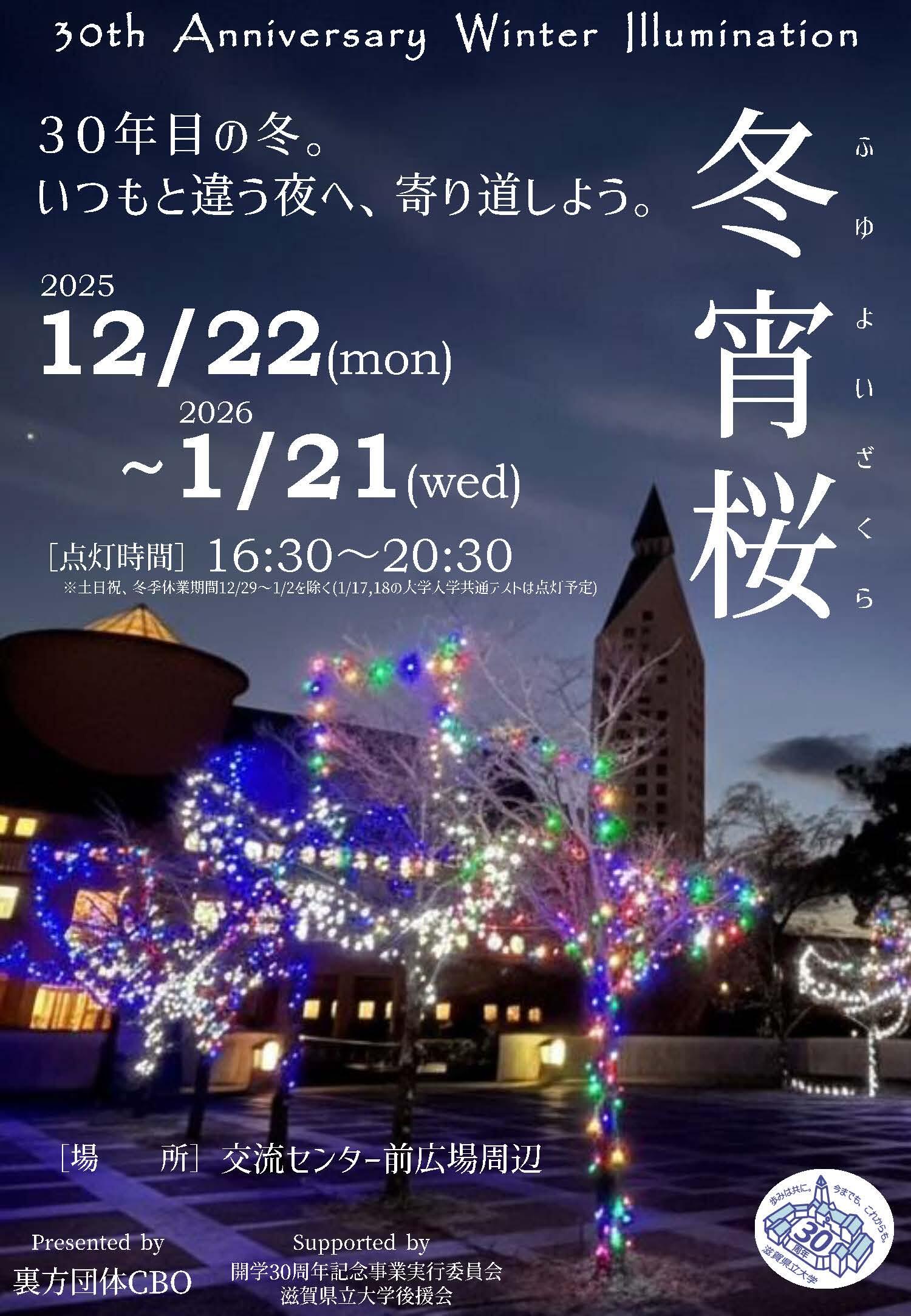 ポスター（イルミネーション2025）.jpg