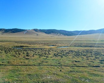 國領さんモンゴル１