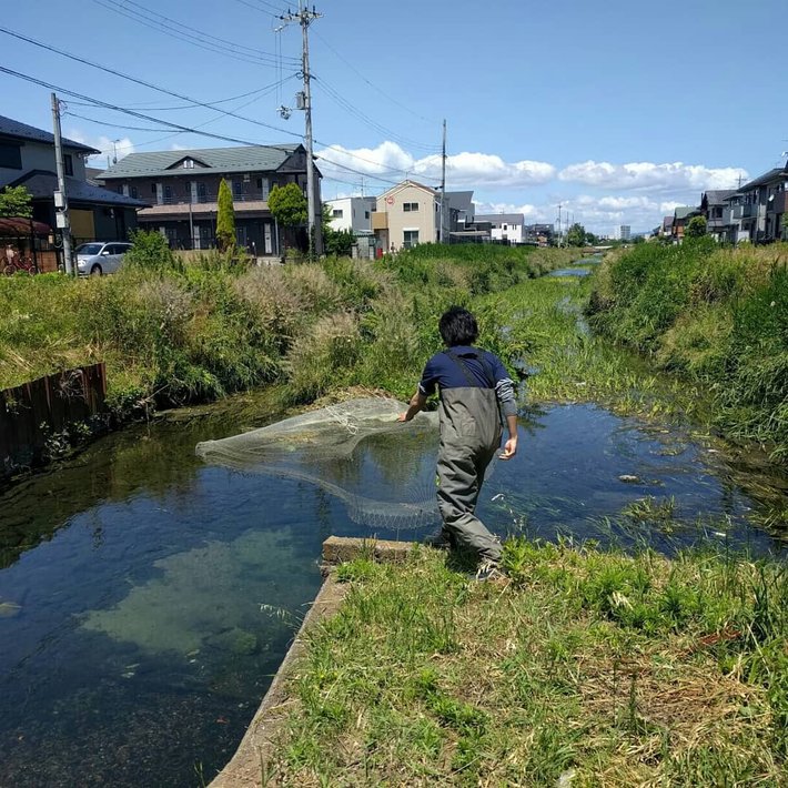 生き物研究会写真２