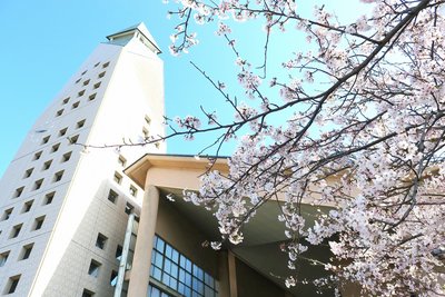 桜とえんぴつ塔