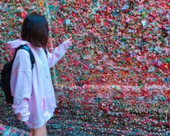 Gum　Wall　
