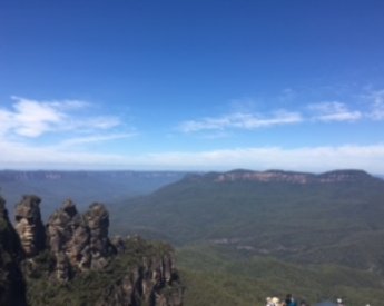 フィールドトリップ