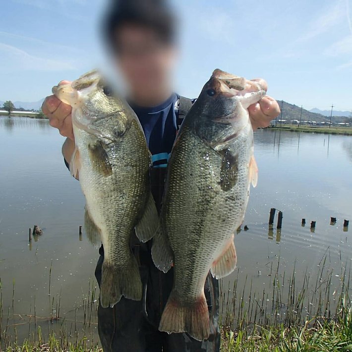 生き物研究会写真１